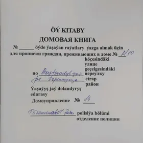 Satlyk jay