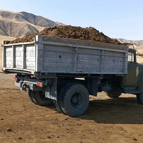 ders дерс