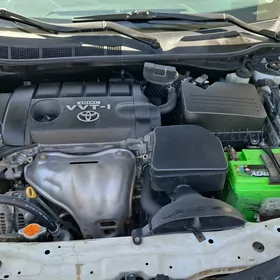 Toyota Camry 2010