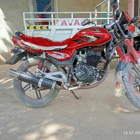 Fekon FK150-8G 2021