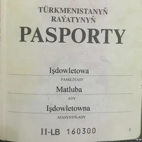 pasport yitdi
