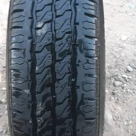 15lik disga pakryşga haýs
