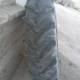 teker disga pakryşga