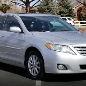 Okuz Camry, Awolon Molding