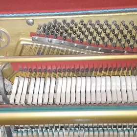 fortepiano