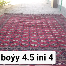 haly turk