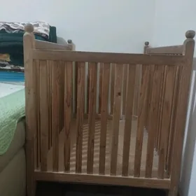 Чага манеж