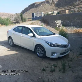 Toyota Corolla 2013