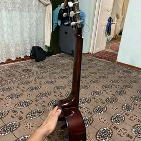Castle Gitara