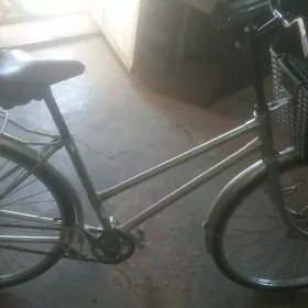 tigir 26 lyk