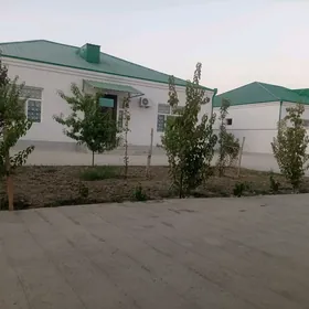 Elitni