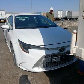Toyota Corolla 2019