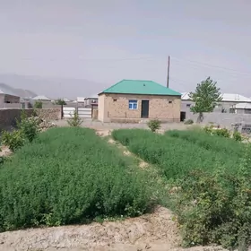 Арчман шыпаханасы