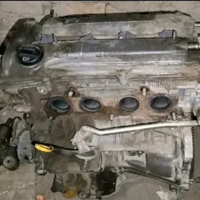 mator 2.4 kamrynki okuz kelle