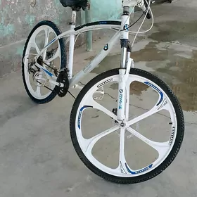 BMW Tigir