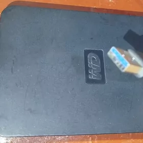 terabayt (1000GB)