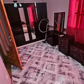 Mir 1