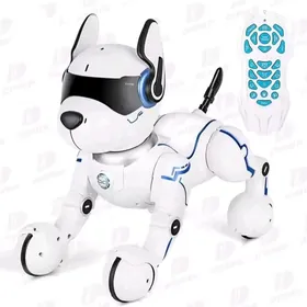 Arginal robot gujik