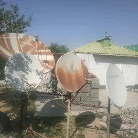 Tele sputnik antena