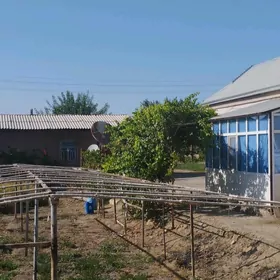 satlyk jaý