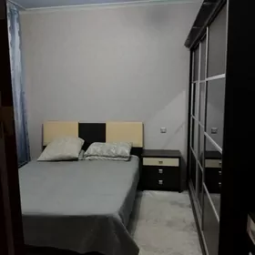 Arenda Jay  Mir 2