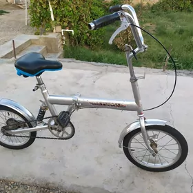 welik kama