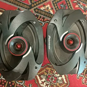 pioneer kalonka 600w