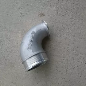 Turbina turba