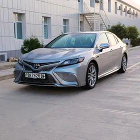 Toyota Camry 2021