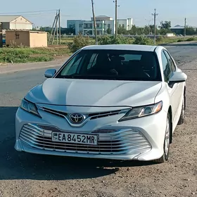 Toyota Camry 2019