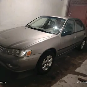 carolla radyator
