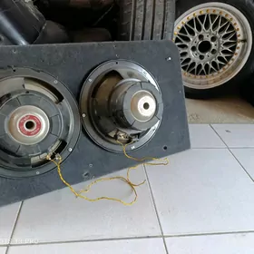 pioneer