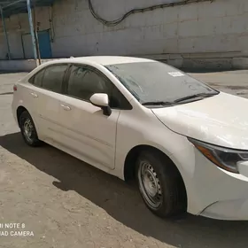 Toyota Corolla 2024