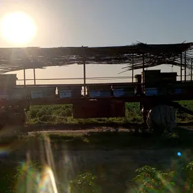 Balary tileşgaly