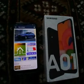 A01