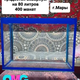 Аквариум