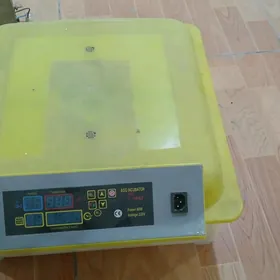 inkubator 56 yumurtgalyk
