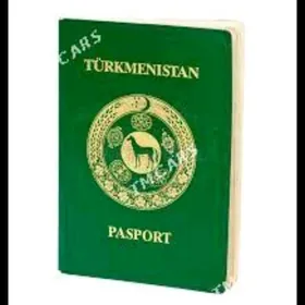 Pasport yitirdim