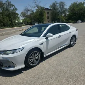 Toyota Camry 2019