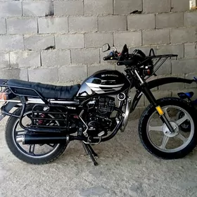 Fekon FK150-8G 2014