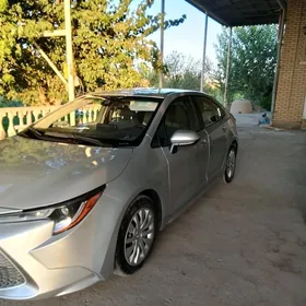 Toyota Corolla 2021