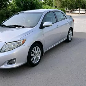 Toyota Corolla 2010