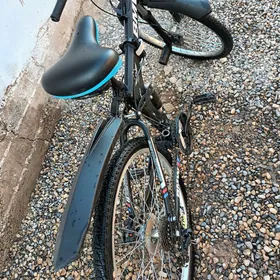 BMW tigir