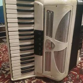 akardeon
