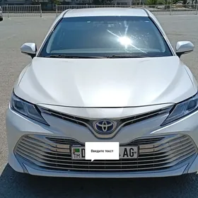 Toyota Camry 2019