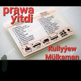 PRAWA ÝITDI