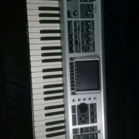 Fantom X6