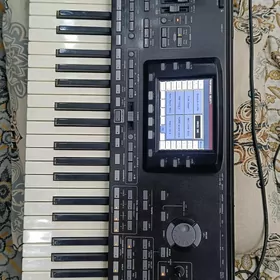 pa 3x