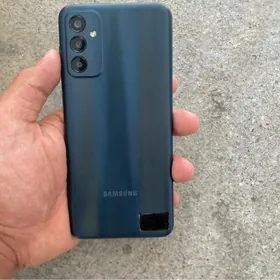 Samsung F13