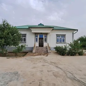 taze zaman 2